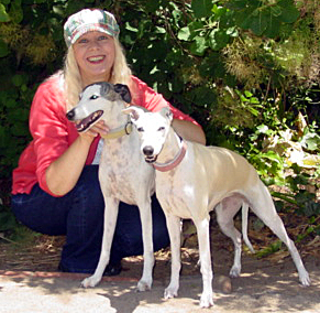Pet Sitter Lorna, Dog Walking Whippets Aly and Shasta